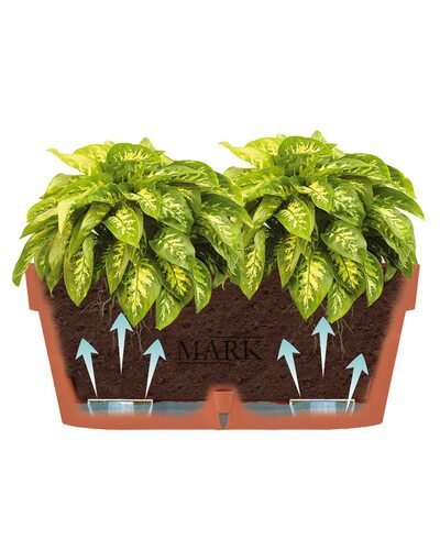 Овальный горшок для цветов с автополиванием «LATINA WINDOW BOX» 17*39,5см, 6,7л Песочный (DRKJ)