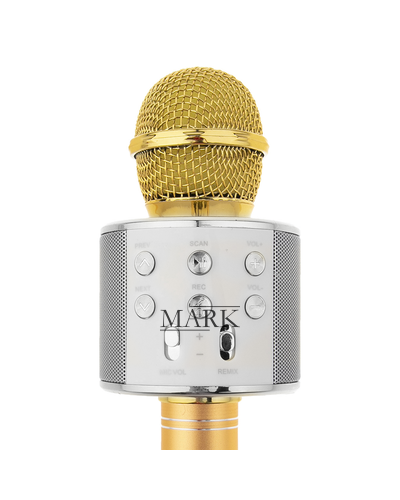 Беспроводной Bluetooth Караоке-микрофон WS-858 Bluetooth USB, AUX FM Золотой (HA-50)