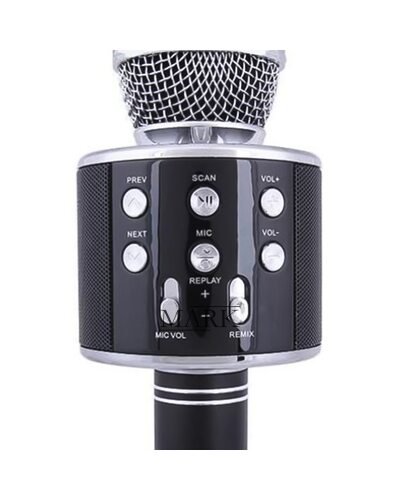 Беспроводной Bluetooth Караоке-микрофон WS-858 Bluetooth USB, AUX FM Черный (HA-50) Беспроводной Bluetooth Караоке-микрофон WS-858 Bluetooth USB, AUX FM Черный (HA-50)