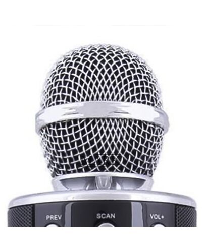 Беспроводной Bluetooth Караоке-микрофон WS-858 Bluetooth USB, AUX FM Черный (HA-50) Беспроводной Bluetooth Караоке-микрофон WS-858 Bluetooth USB, AUX FM Черный (HA-50)