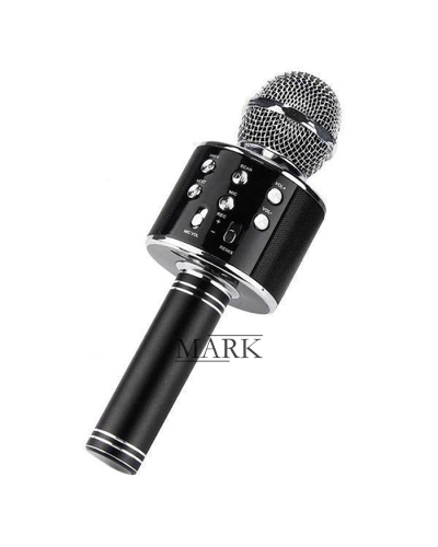 Беспроводной Bluetooth Караоке-микрофон WS-858 Bluetooth USB, AUX FM Черный (HA-50) Беспроводной Bluetooth Караоке-микрофон WS-858 Bluetooth USB, AUX FM Черный (HA-50)