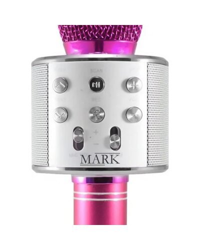 Беспроводной Bluetooth Караоке-микрофон WS-858 Bluetooth USB, AUX FM Розовый (HA-50)