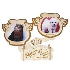 Набір для творчості GPF107 Знаки Зодіаку: Водолій збірні моделі 4 пластини (NI)