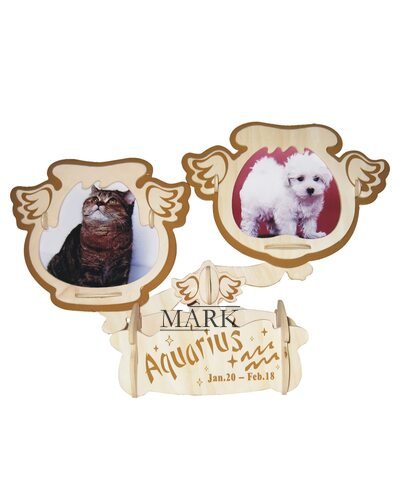 Набор для творчества GPF107 Знаки Зодиака: Водолей сборные модели 4 пластины (NI)