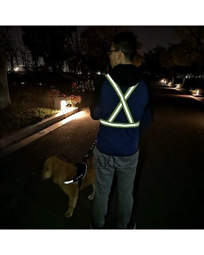 Светоотражающий ремень безопасности с высокой видимостью FG-BX/P-1605 Лимон (YAB/JS)