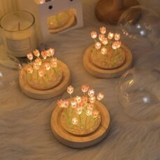 Настольный светодиодный ночник-колба на деревянной подставке «Тюльпаны в колбе» (умелые ручки) (AX)