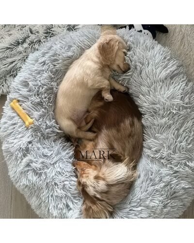 Пушистая круглая лежака пуфик для животных, собак, кошек MA819 50см Серый (ARSH)