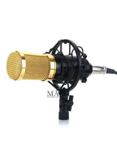 Студийный микрофон с кронштейном со стойкой и ветрозащитой Music DJ. M 800U Черно-золотой (ЖЯ)